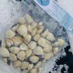Whole Clams