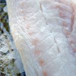 Cod Fillets