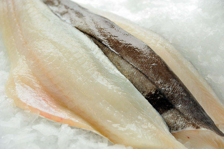Haddock Fillets K Stansfield