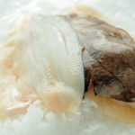 Lemon Soles