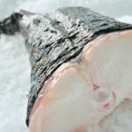 Monk Fish