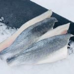 Bass Fillets